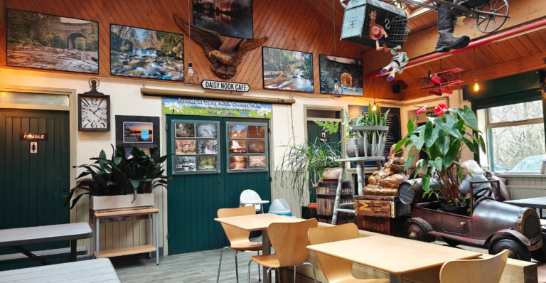 Screenshot 13 768x398